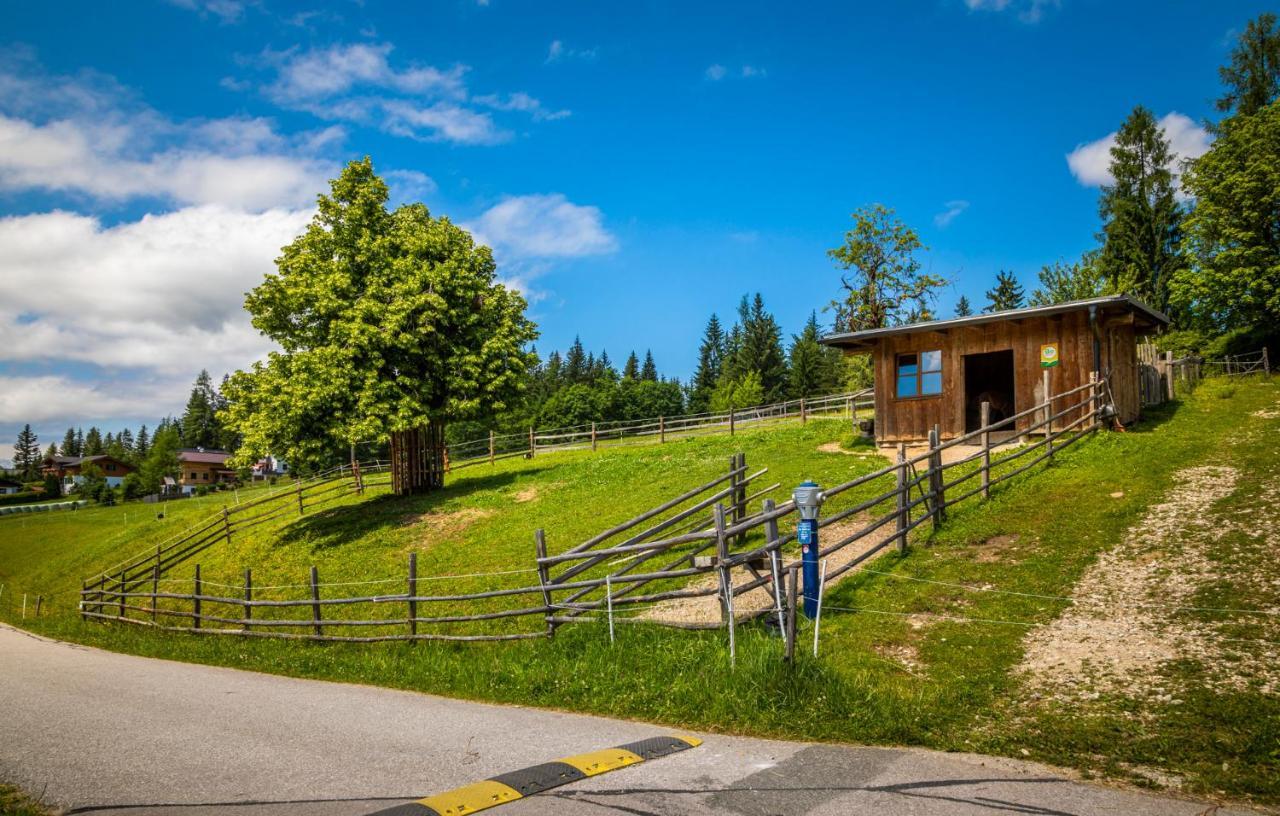 Ferienwohnung Daarhof Wagrain Exterior foto
